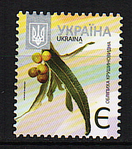 Украина _, 2013, Стандарт, Облепиха, 1 марка